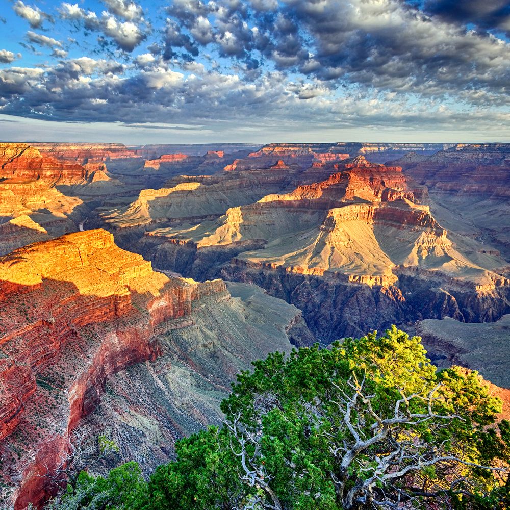 Vườn quốc gia - Hệ sinh thái đa dạng của Hoa Kỳ