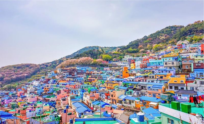 lang-van-hoa-gamcheon