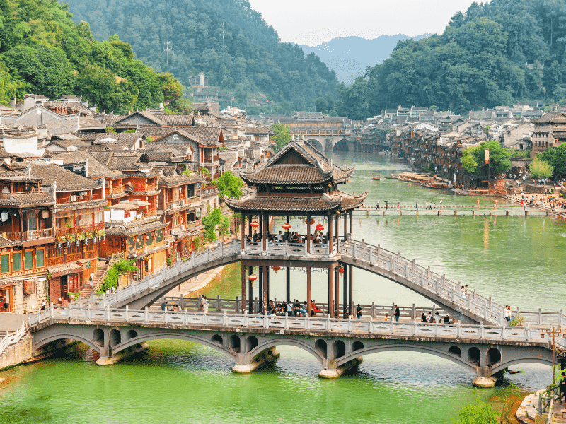 phuong-hoang-co-tran