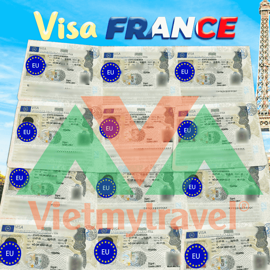 Việt Mỹ Travel